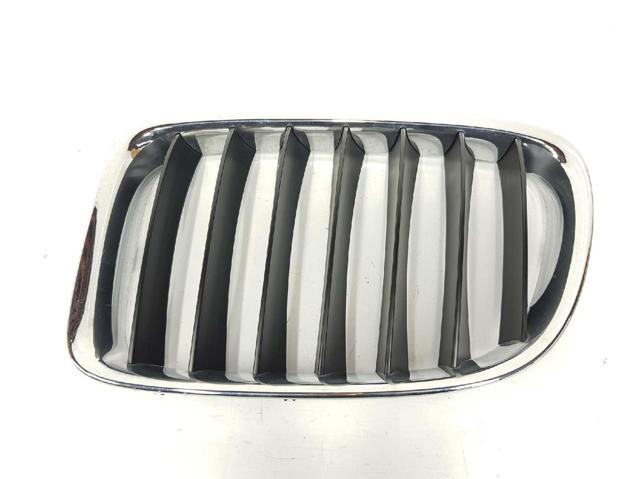 Atrapa grill BMW X1