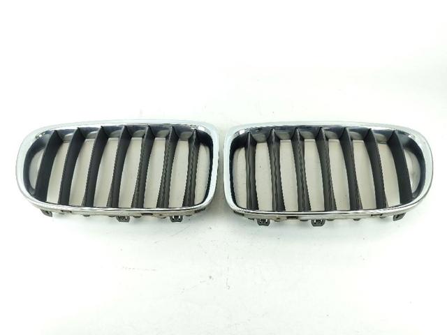 Kupić Atrapa chłodnicy BMW X1  E84 w dobrej cenie