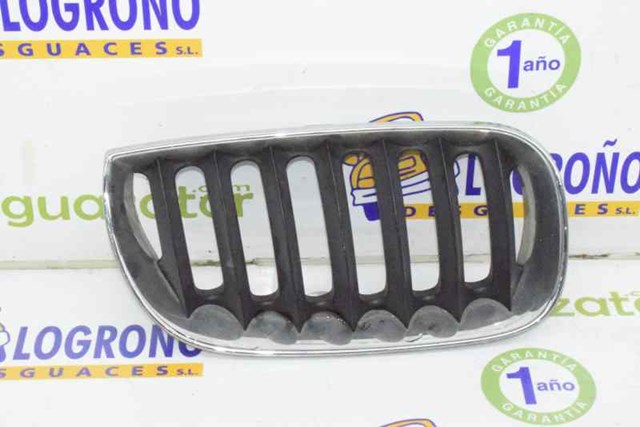 Atrapa grill BMW X3