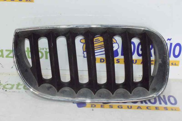 Atrapa grill BMW X3