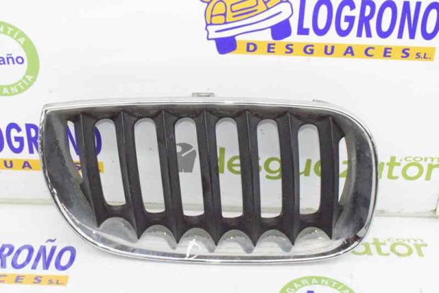 Atrapa grill BMW X3