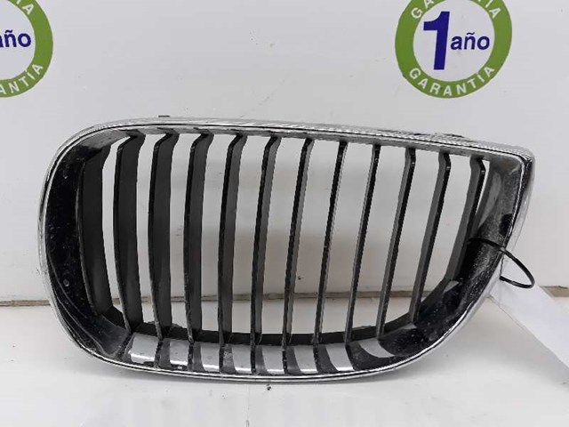 Atrapa grill BMW 1