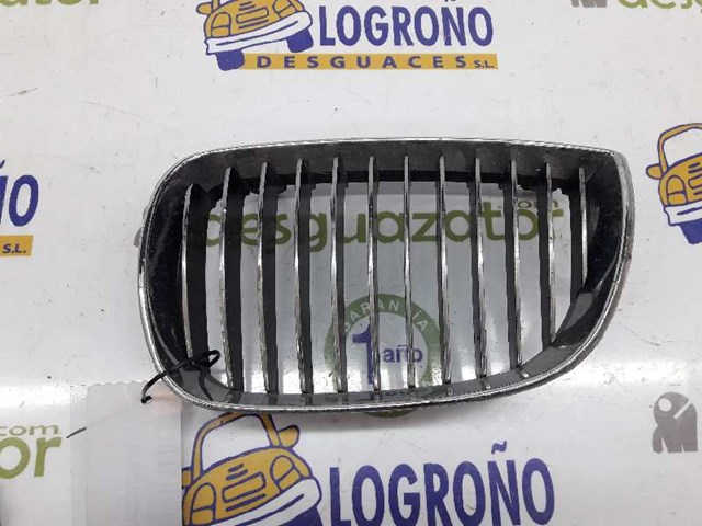 Atrapa grill BMW 1