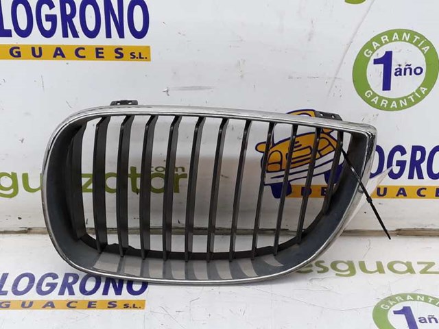 Atrapa grill BMW 1