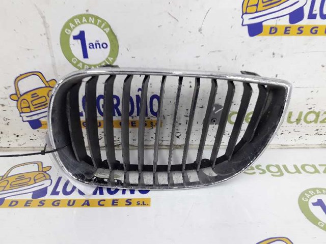 Atrapa grill BMW 1