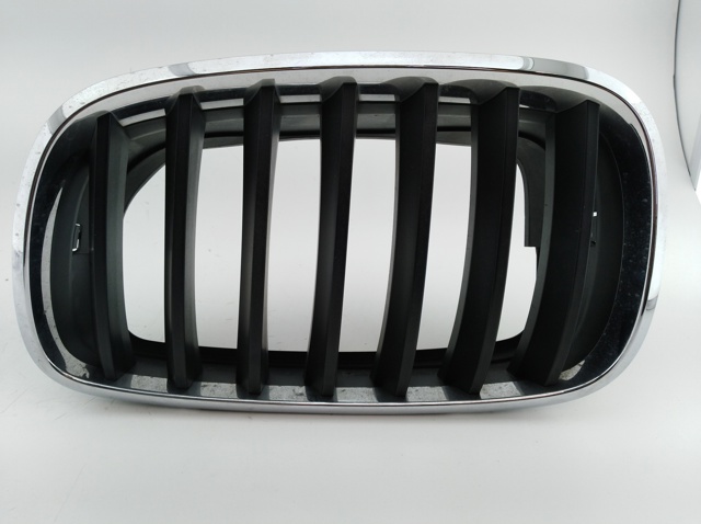 Atrapa grill BMW X5