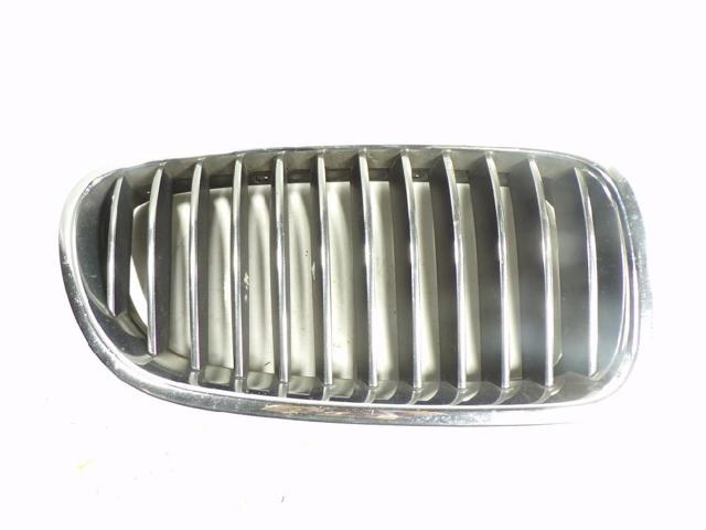 Atrapa chłodnicy prawa 51137200728 BMW