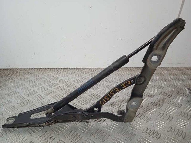Amortyzator klapy bagażnika (3/5 drzwi-tylnych) 51247129194 BMW