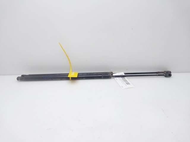 Amortyzator klapy bagażnika (3/5 drzwi-tylnych) 51247211289 BMW