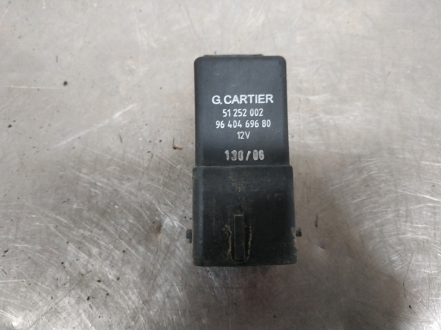 51252002 Peugeot/Citroen