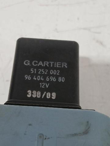 51252002 Peugeot/Citroen