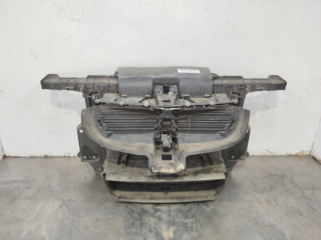 Osłona chłodnicy kompletna (panel mocowania reflektorów) 51647193192 BMW