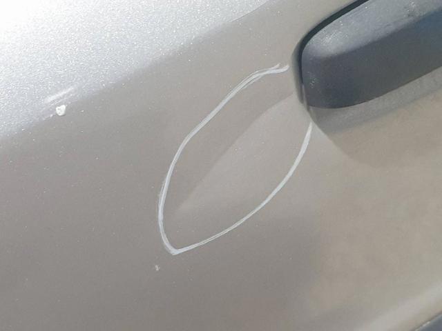 Drzwi przednie lewe Fiat Panda 2 169A