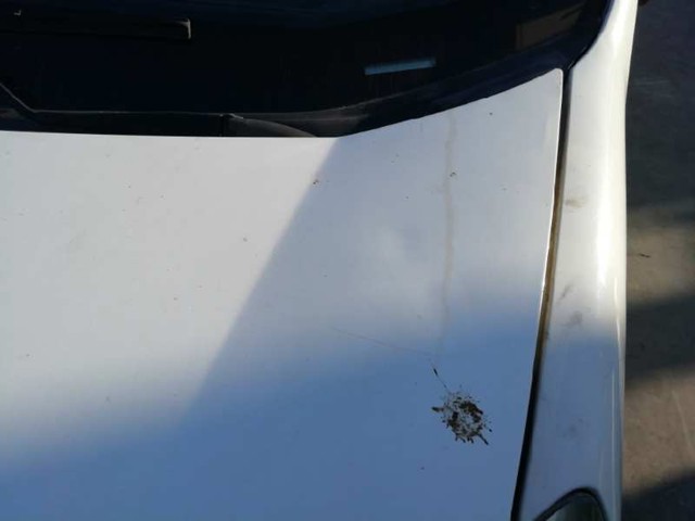 Maska silnika 51789394 FIAT