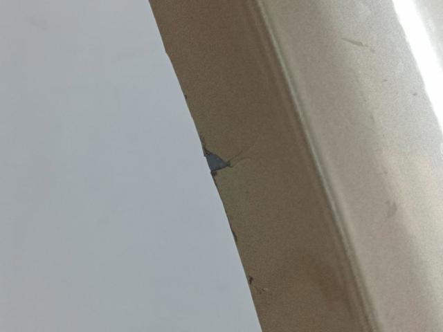 Błotnik przedni lewy SsangYong Kyron