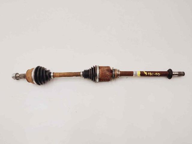 51896520 Fiat/Alfa/Lancia