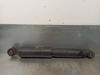 Amortyzator tylny 51929884 FIAT