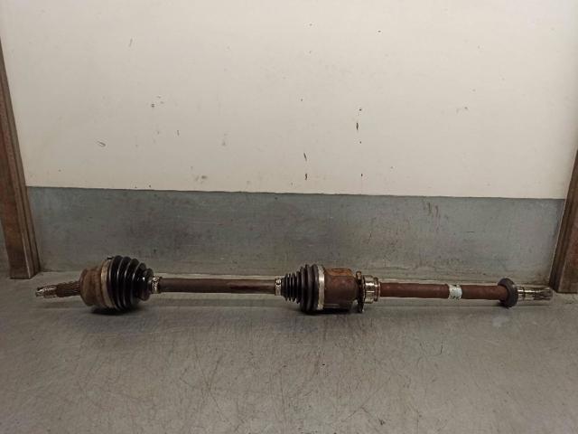 51961296 Fiat/Alfa/Lancia