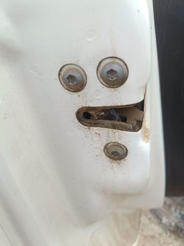 51969788 Fiat/Alfa/Lancia