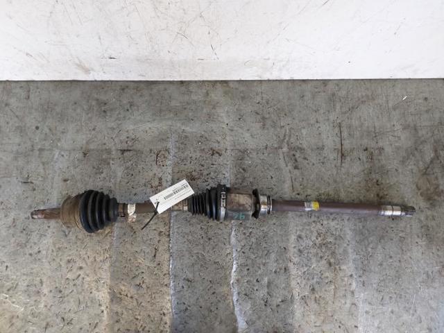 51975576 Fiat/Alfa/Lancia