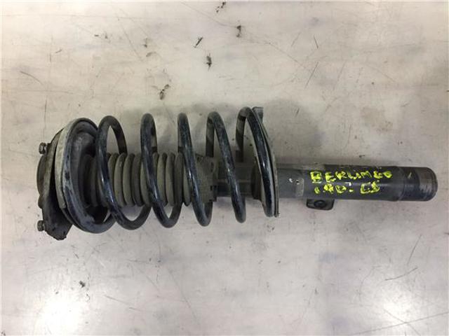 5202P9 Peugeot/Citroen