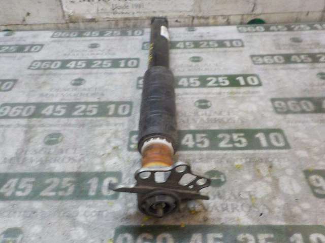 Amortyzator tylny 52056455 FIAT