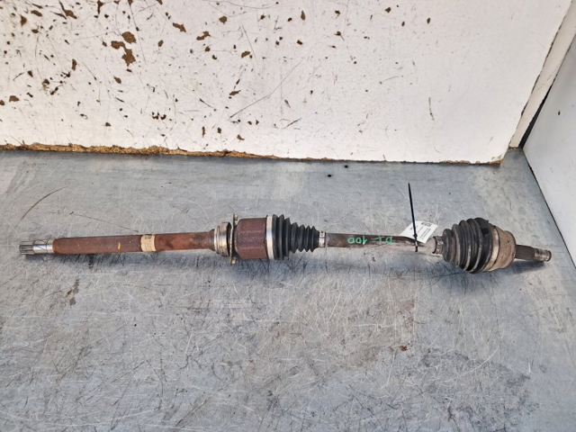 Kupić  Tipo  356