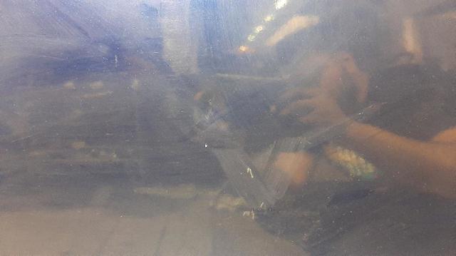 Drzwi tylne lewe Fiat Linea 323