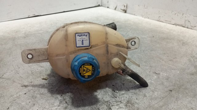 Zbiorniczek wyrównawczy układu chłodzenia 52063538 FIAT