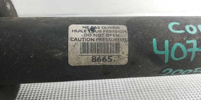 5206FG Peugeot/Citroen