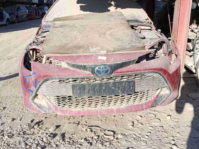  Toyota Corolla  (2019-2026)
