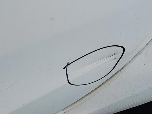 Drzwi tylne lewe 52161646 FIAT