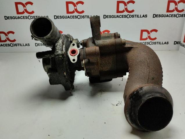 53041015096 Peugeot/Citroen