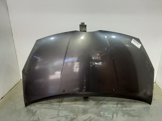 Maska silnika 533010F011 TOYOTA