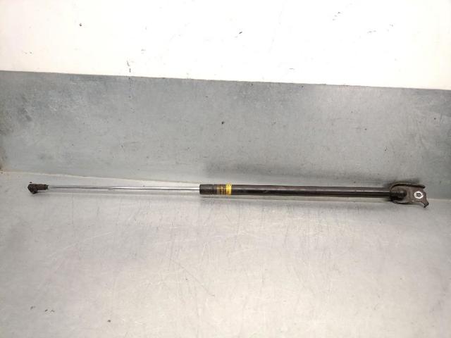 Amortyzator maski Lexus RX U3