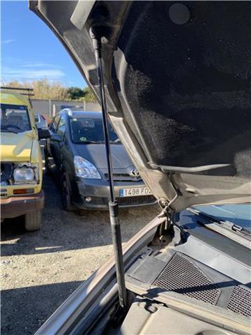 Amortyzator maski Lexus RX U3