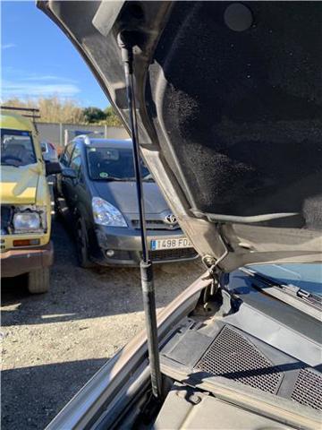 Amortyzator maski Lexus RX U3