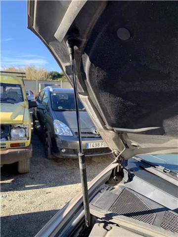 Amortyzator maski Lexus RX U3