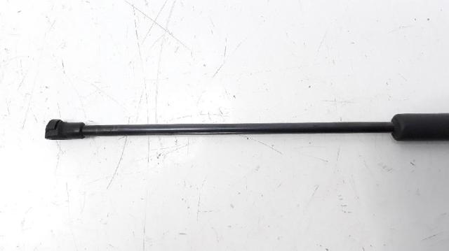 Amortyzator maski Lexus RX AGL10, GGL15, GYL15