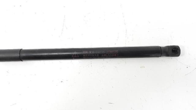 Amortyzator maski Lexus RX AGL10, GGL15, GYL15