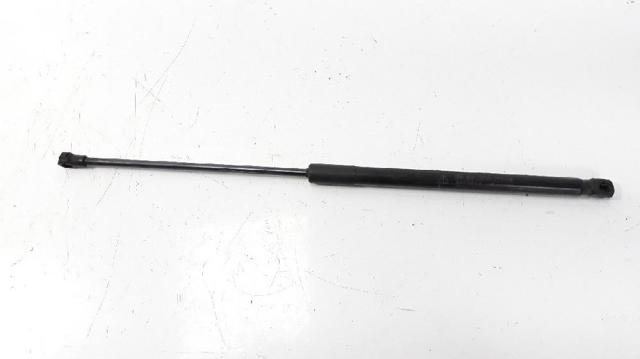 Amortyzator maski Lexus RX AGL10, GGL15, GYL15