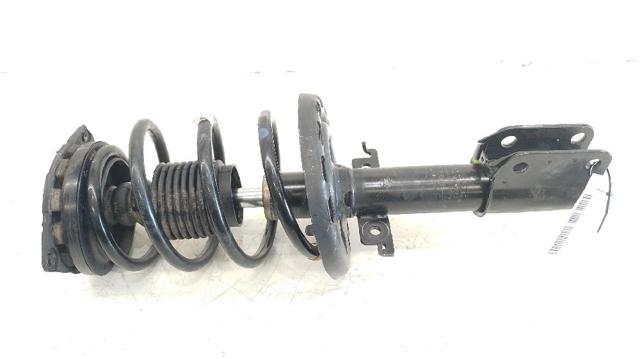 Amortyzator przedni 543020008R RENAULT