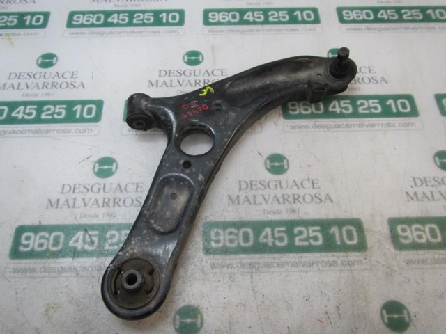 545013X000 Hyundai/Kia