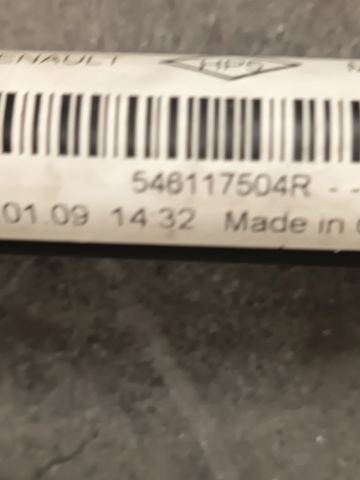 546117504R Renault (RVI)