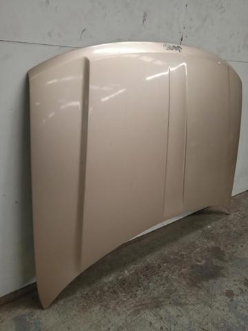 Maska silnika 55076470AD CHRYSLER