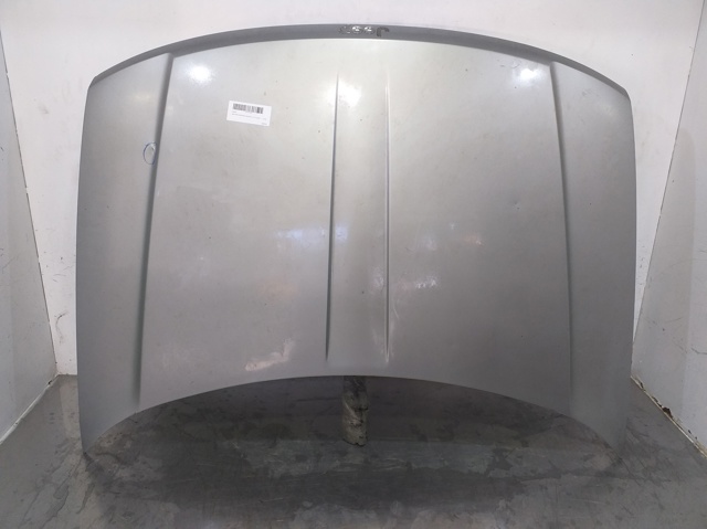 Maska silnika 55076470AE CHRYSLER