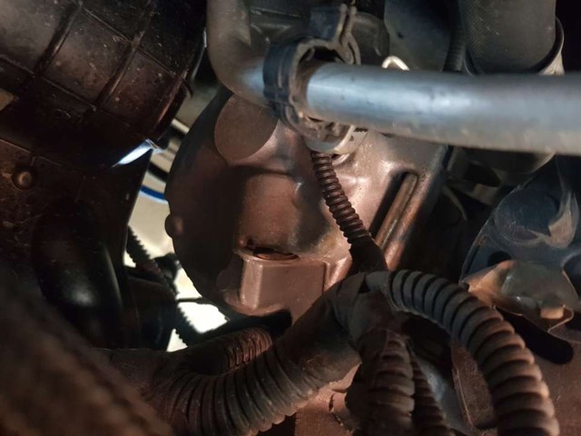 55194880 Fiat/Alfa/Lancia