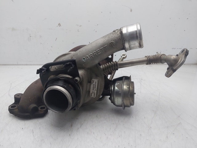 55205475 Suzuki