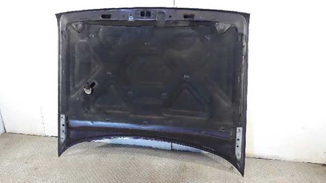 Maska silnika 55295753 Chrysler