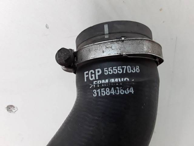 55557038 Opel